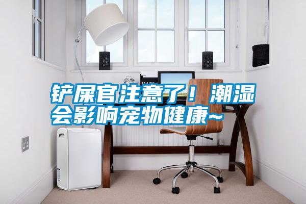 鏟屎官注意了！潮濕會影響寵物健康~