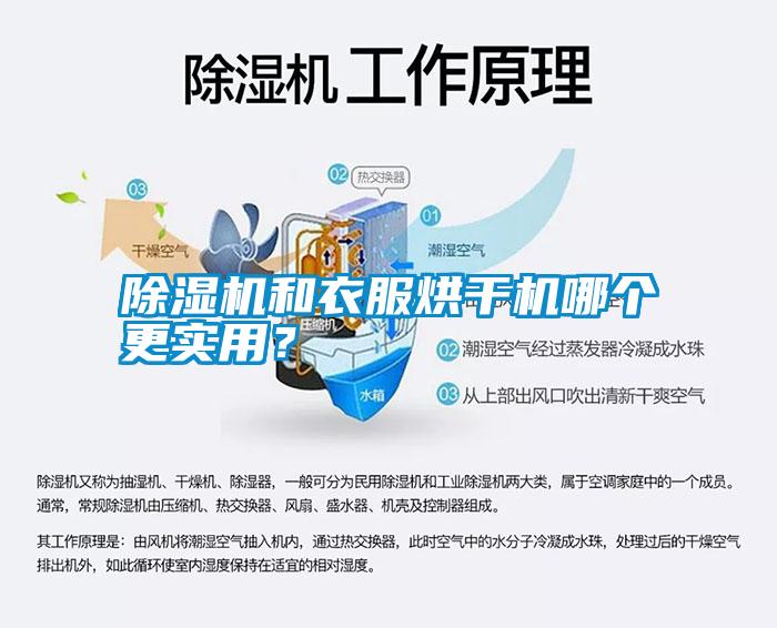 除濕機和衣服烘干機哪個更實用？