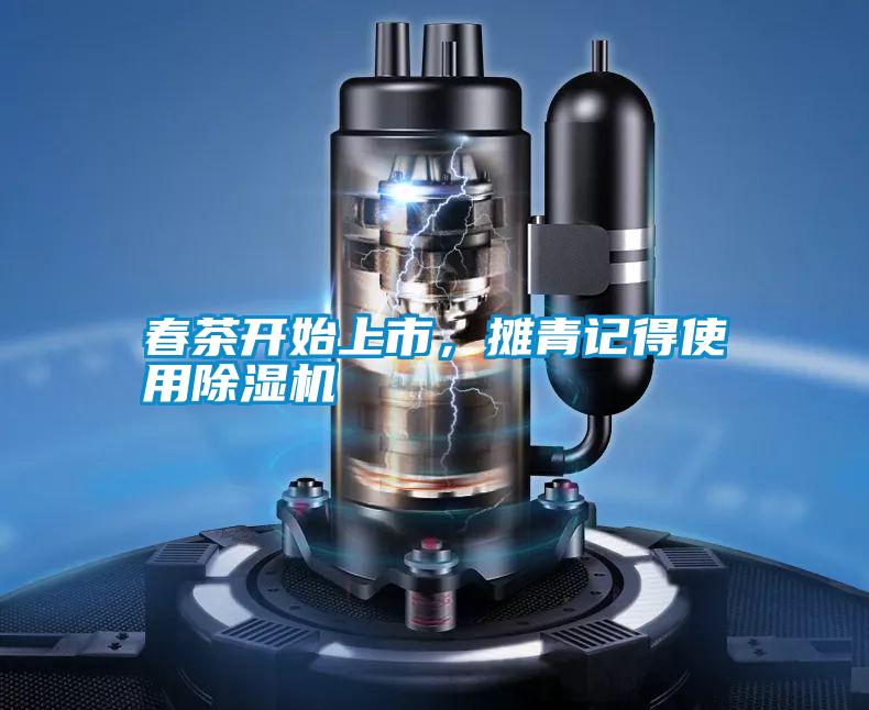 春茶開始上市，攤青記得使用除濕機