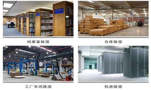 果蔬烘干除濕機，烘干果蔬不再看“天色”
