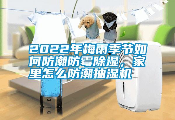 2022年梅雨季節如何防潮防霉除濕，家里怎么防潮抽濕機