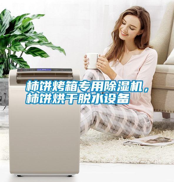柿餅烤箱專用除濕機，柿餅烘干脫水設備