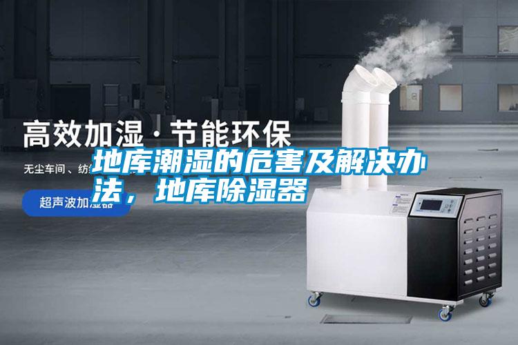 地庫潮濕的危害及解決辦法，地庫除濕器