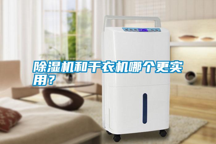 除濕機和干衣機哪個更實用？