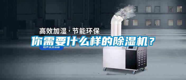 你需要什么樣的除濕機？