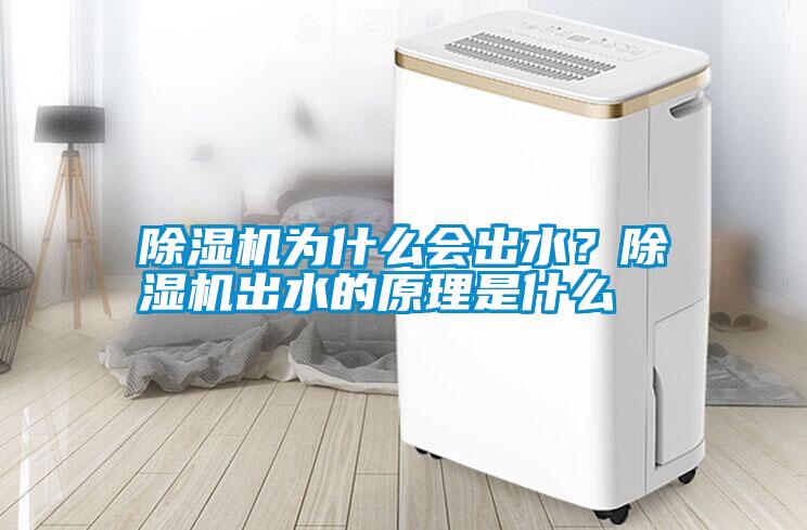 除濕機為什么會出水？除濕機出水的原理是什么