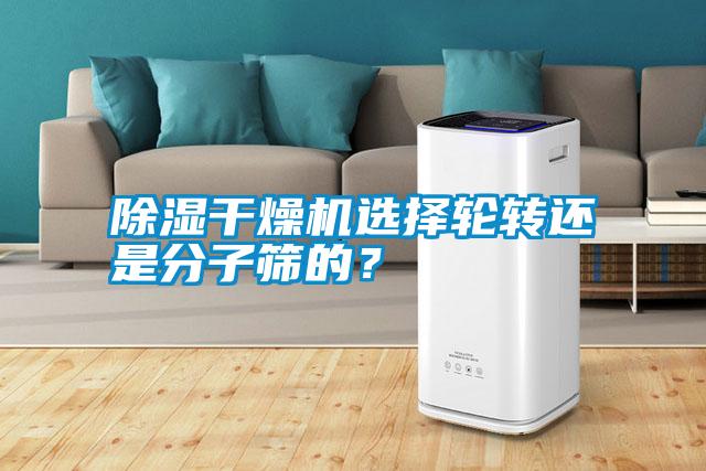 除濕干燥機選擇輪轉還是分子篩的？