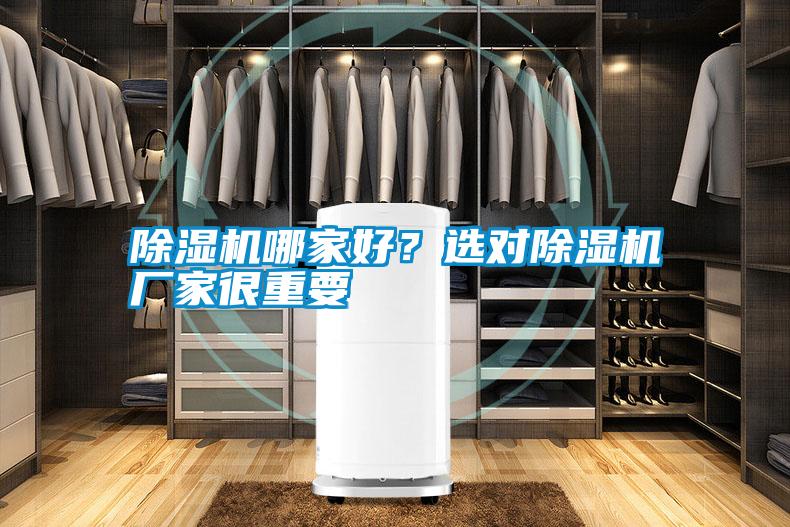 除濕機哪家好？選對除濕機廠家很重要