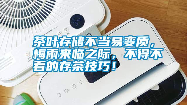 茶葉存儲不當易變質，梅雨來臨之際，不得不看的存茶技巧！