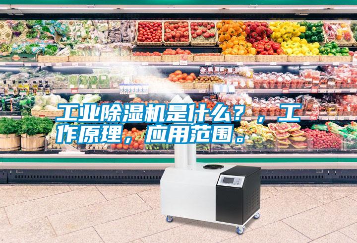 工業除濕機是什么？，工作原理，應用范圍。