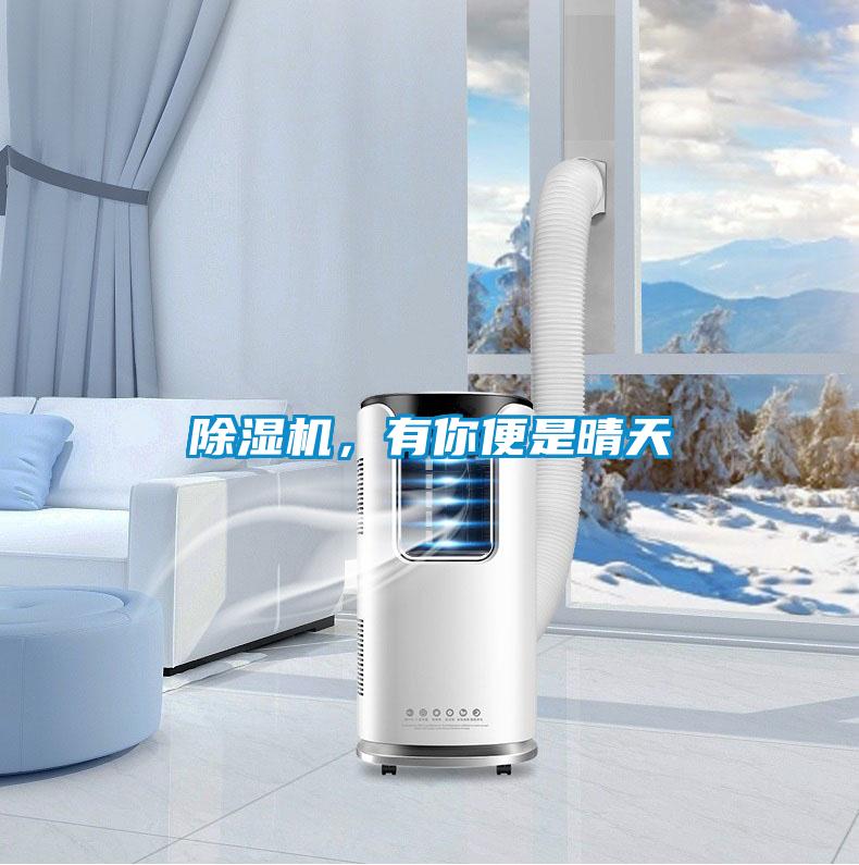 除濕機，有你便是晴天