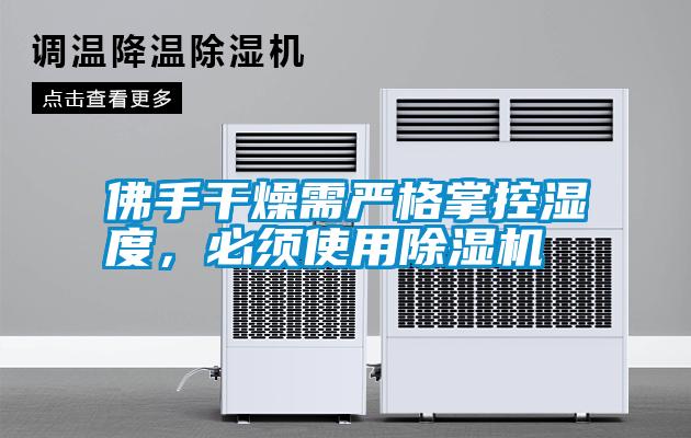 佛手干燥需嚴格掌控濕度，必須使用除濕機