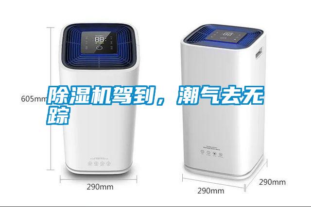 除濕機駕到，潮氣去無蹤