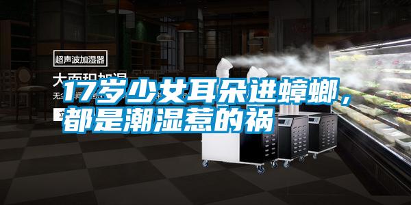 17歲少女耳朵進蟑螂，都是潮濕惹的禍