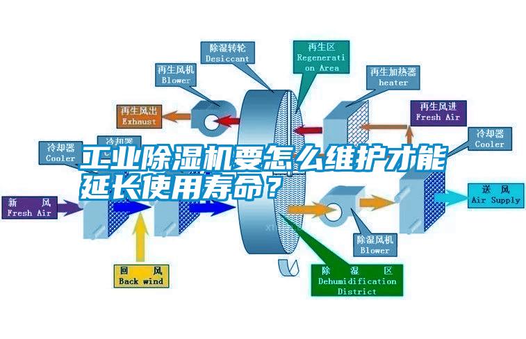 工業除濕機要怎么維護才能延長使用壽命？