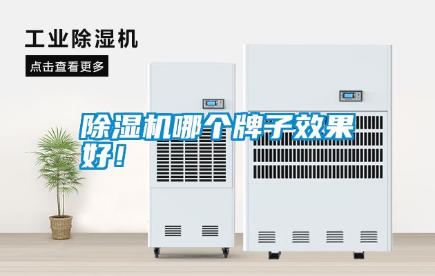 除濕機哪個牌子效果好！