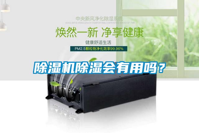 除濕機除濕會有用嗎？