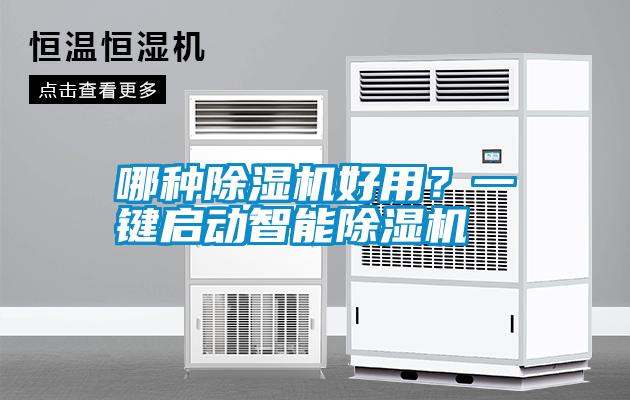 哪種除濕機好用？一鍵啟動智能除濕機