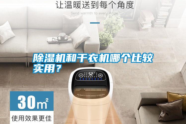 除濕機和干衣機哪個比較實用？