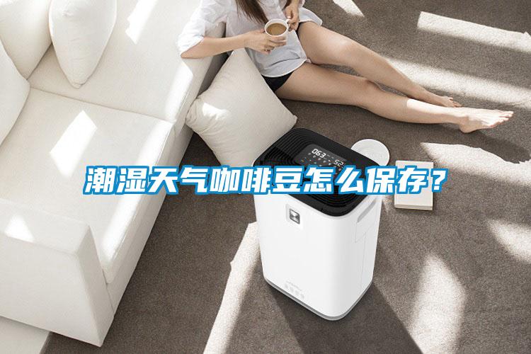 潮濕天氣咖啡豆怎么保存？