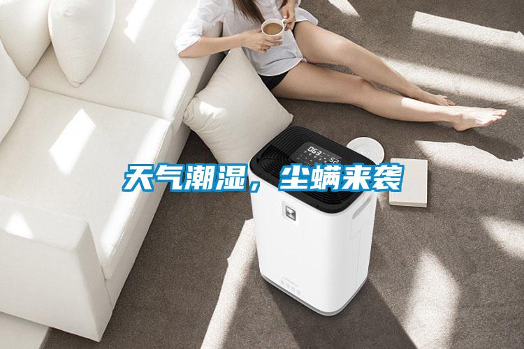 天氣潮濕，塵螨來襲