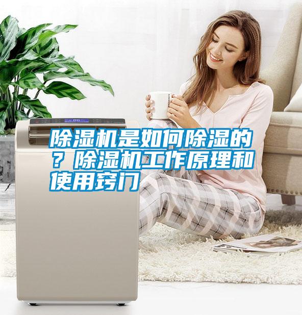 除濕機是如何除濕的？除濕機工作原理和使用竅門