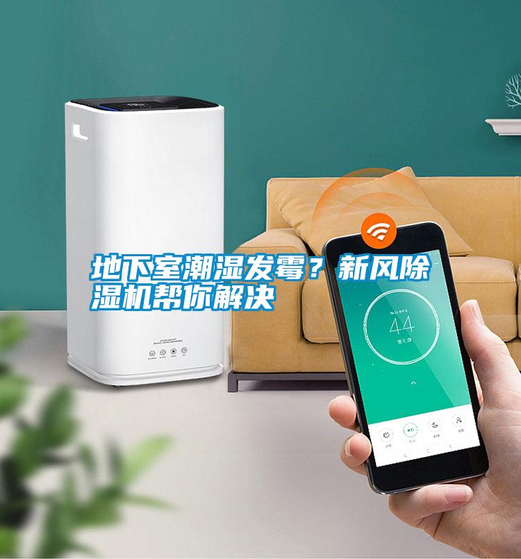 地下室潮濕發霉？新風除濕機幫你解決