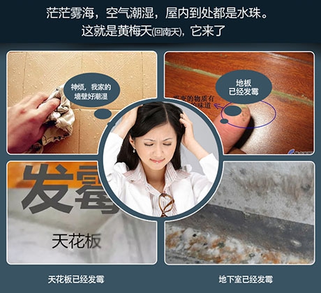 梅雨季將至，除濕機了解一下！