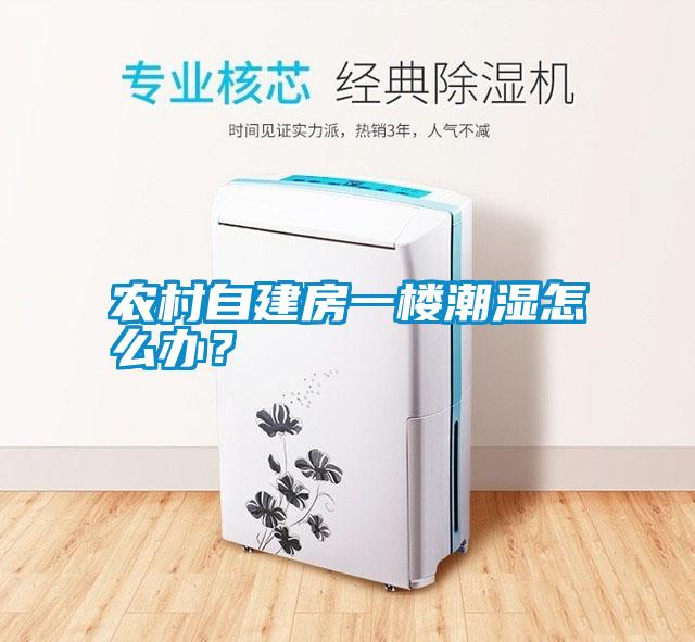 農村自建房一樓潮濕怎么辦？