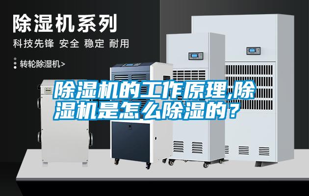 除濕機的工作原理,除濕機是怎么除濕的？