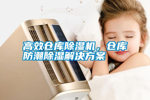 高效倉庫除濕機，倉庫防潮除濕解決方案