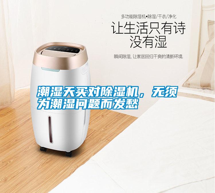 潮濕天買對除濕機，無須為潮濕問題而發愁