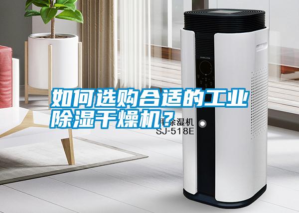 如何選購合適的工業除濕干燥機？