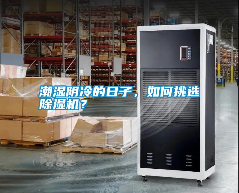 潮濕陰冷的日子，如何挑選除濕機？
