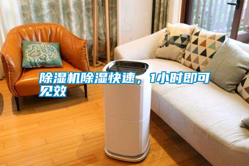 除濕機除濕快速，1小時即可見效