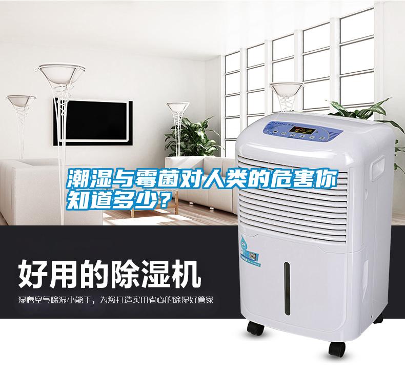 潮濕與霉菌對人類的危害你知道多少？