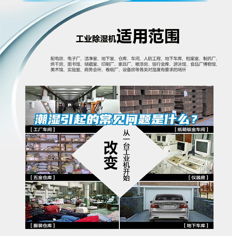 潮濕引起的常見問題是什么？