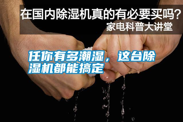 任你有多潮濕，這臺除濕機都能搞定