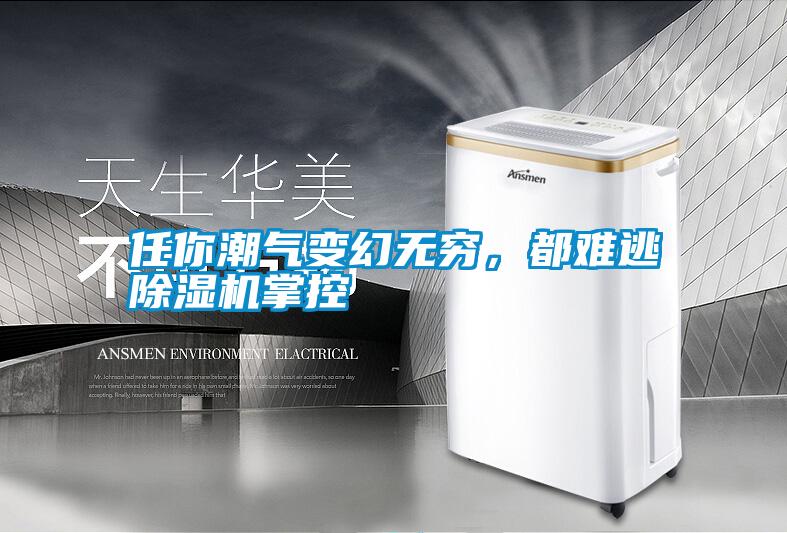 任你潮氣變幻無窮，都難逃除濕機掌控