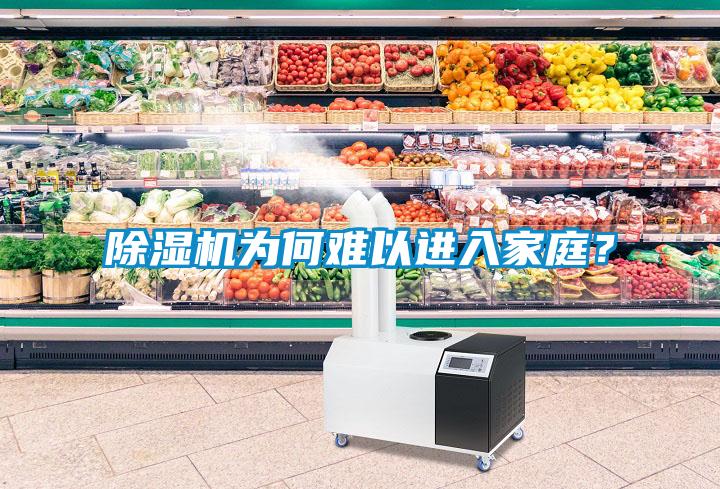 除濕機為何難以進入家庭？