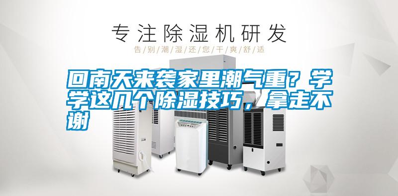 回南天來襲家里潮氣重？學學這幾個除濕技巧，拿走不謝