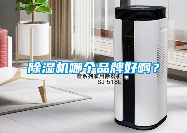 除濕機哪個品牌好??？