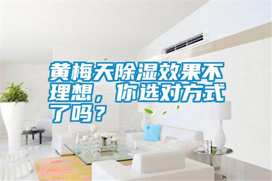 黃梅天除濕效果不理想，你選對方式了嗎？