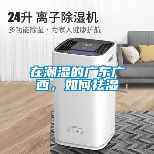在潮濕的廣東廣西，如何祛濕