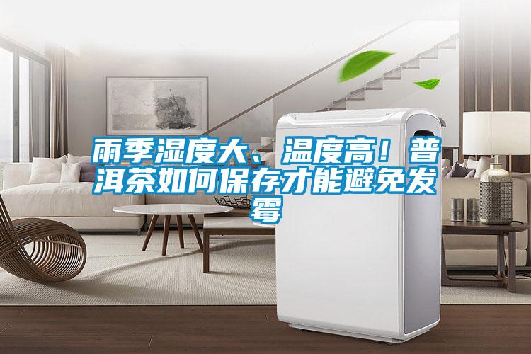 雨季濕度大、溫度高！普洱茶如何保存才能避免發霉