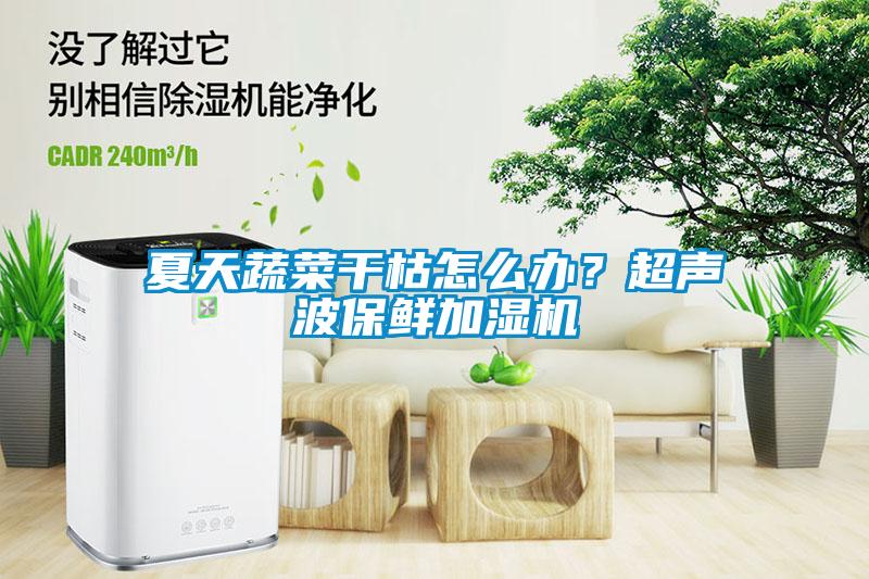 夏天蔬菜干枯怎么辦？超聲波保鮮加濕機