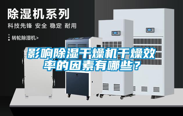 影響除濕干燥機干燥效率的因素有哪些？