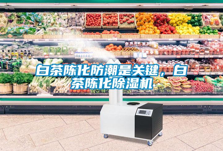 白茶陳化防潮是關鍵，白茶陳化除濕機