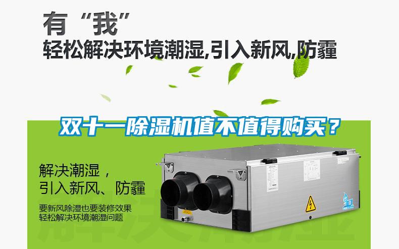 雙十一除濕機值不值得購買？