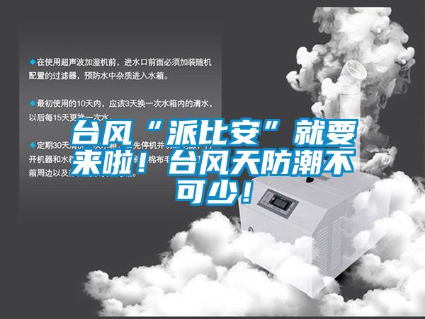 臺風“派比安”就要來啦！臺風天防潮不可少！